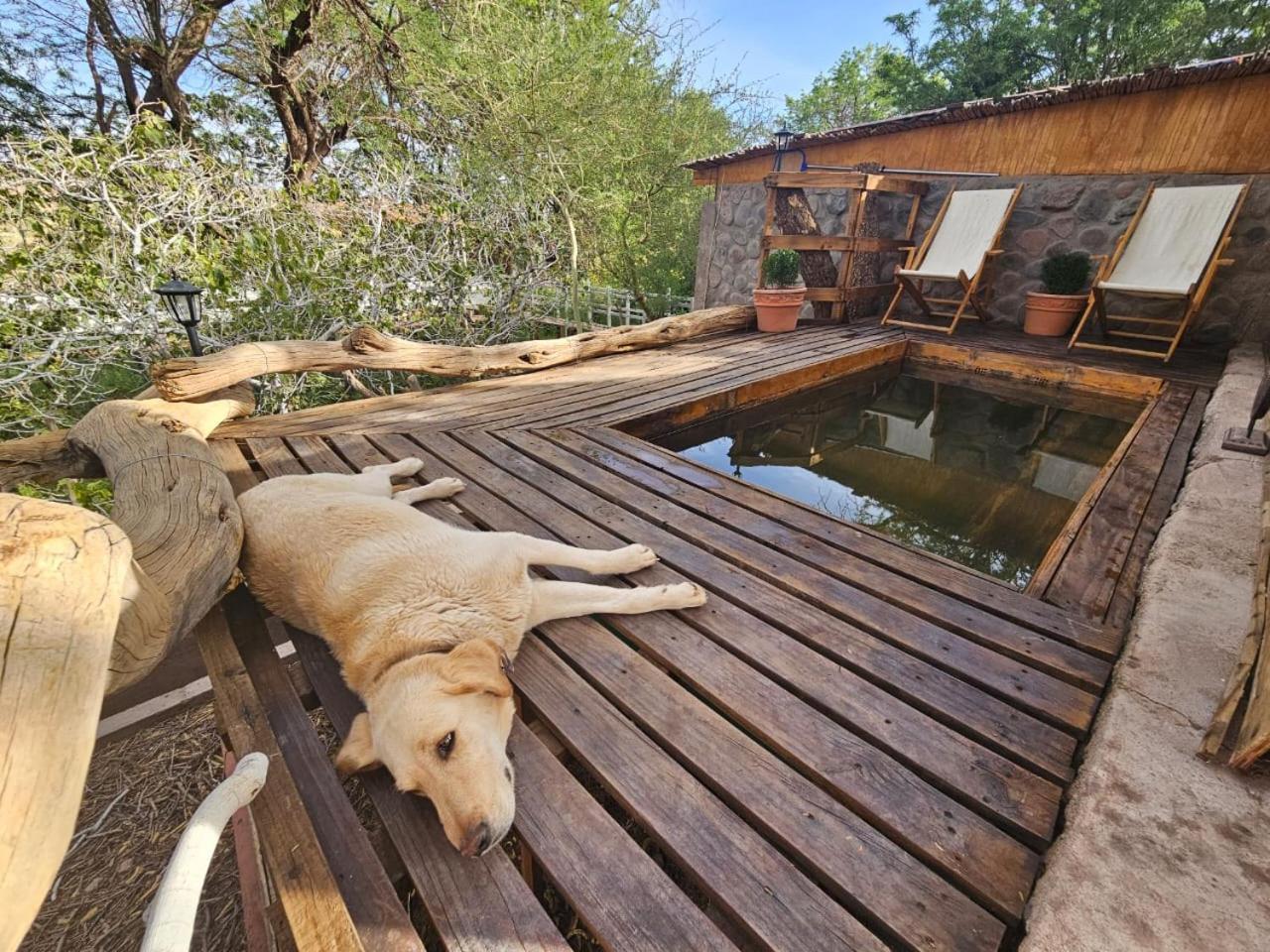 Anka Lodge Quitor San Pedro de Atacama Exteriör bild