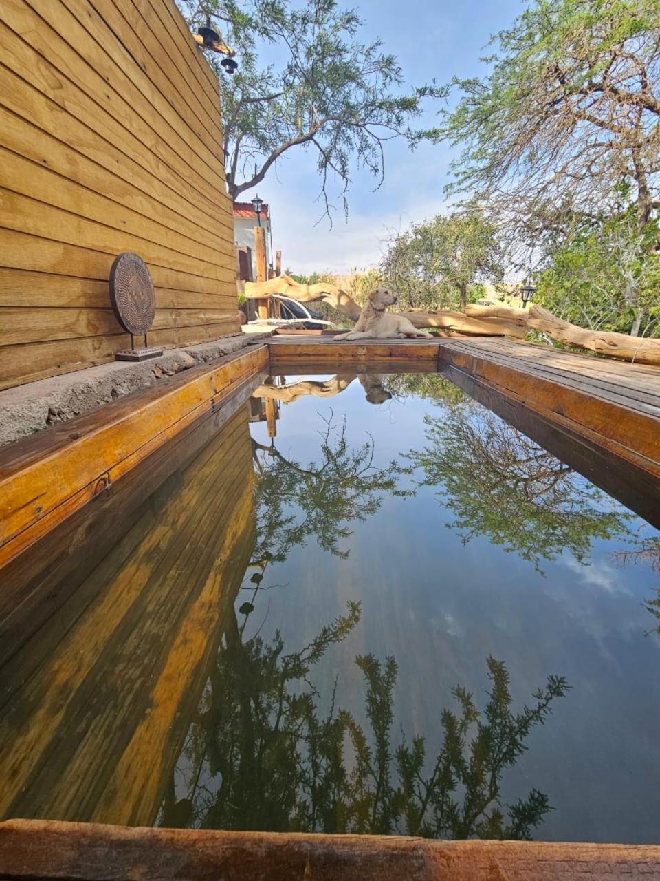 Anka Lodge Quitor San Pedro de Atacama Exteriör bild